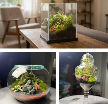 Glass Terrariums