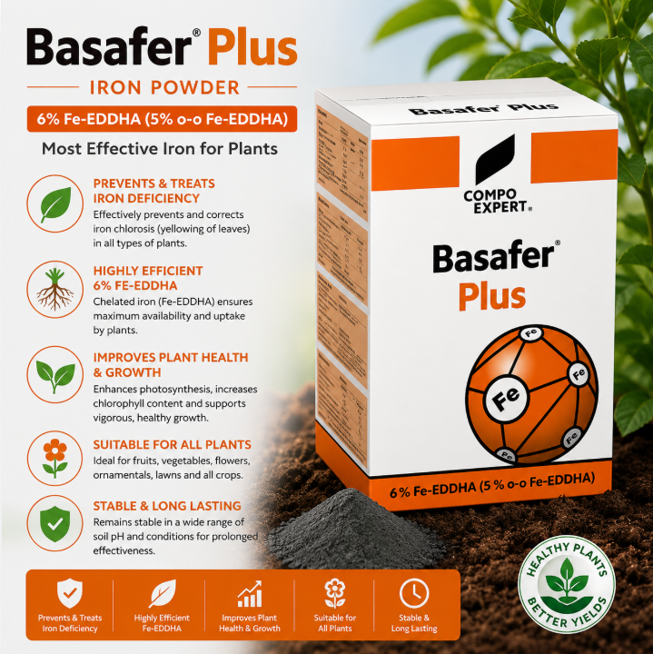 Basafer Plus – Iron Powder
