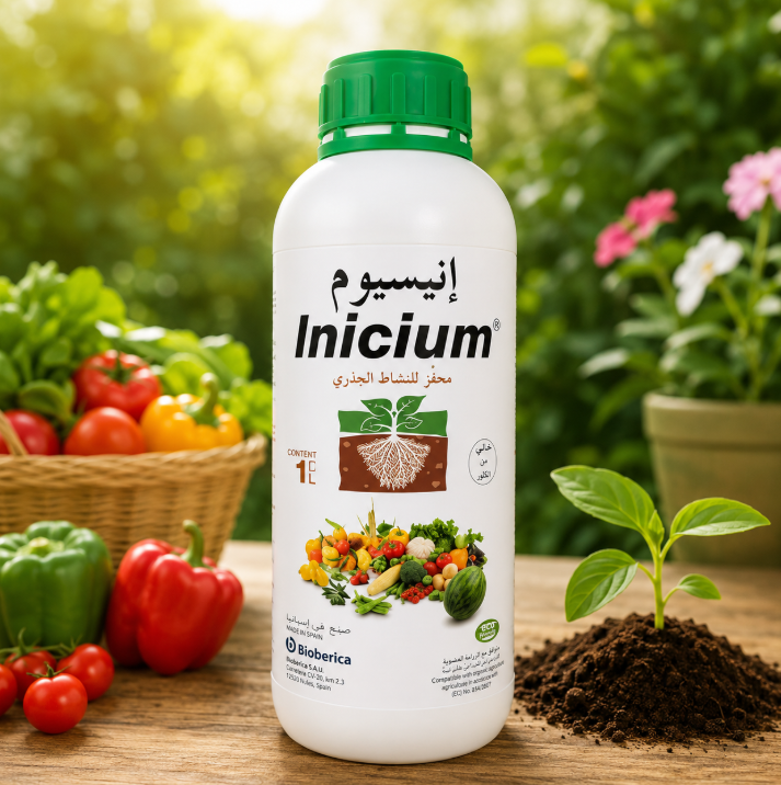 Inicium Rooter (Organic)