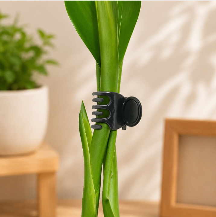 Plant Support Clips
