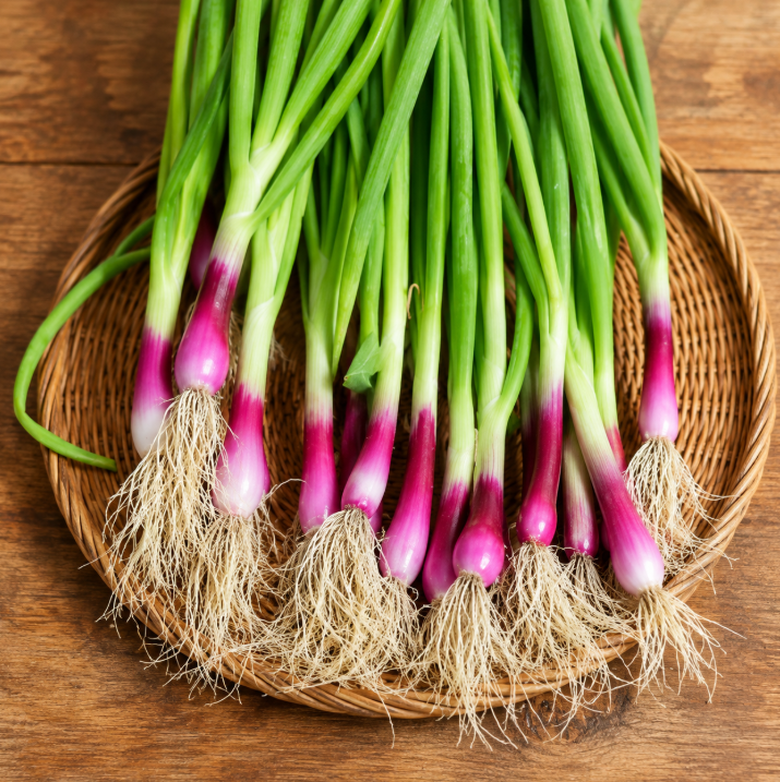 Red Bunching Onion Seeds
