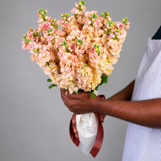 21 Peach Matthiola Bouquet