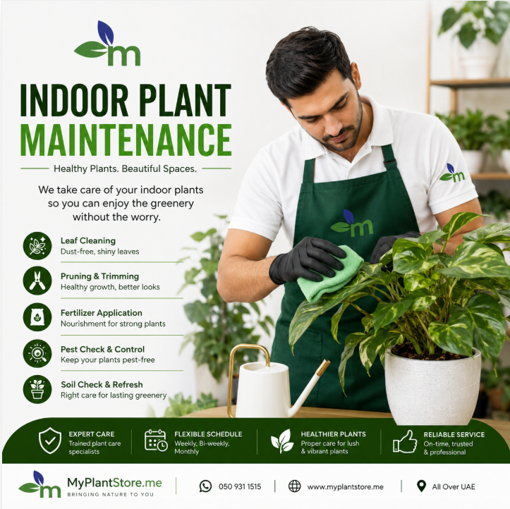 Plant Maintenance Service ♻️♻️